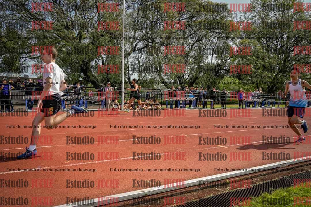 Fotos de los 80 m llanos de varones