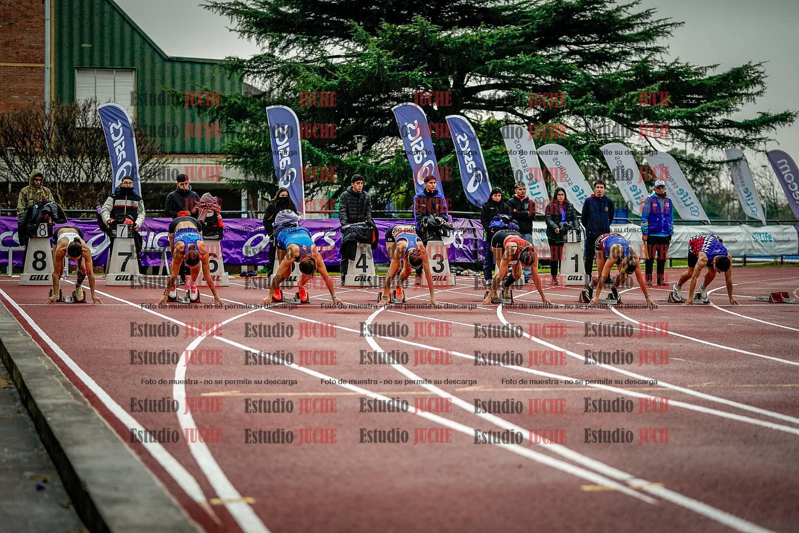 Fotos de los 100 m llanos de mujeres