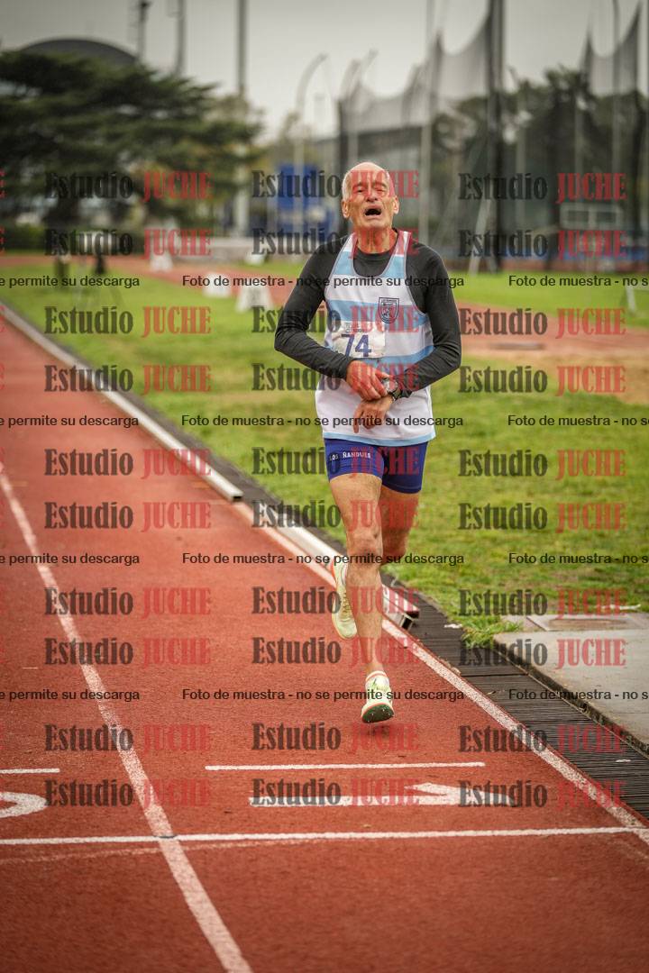 Fotos de los 800 m llanos de varones