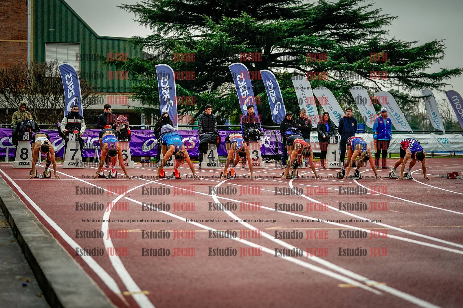 Fotos de los 100 m llanos de mujeres