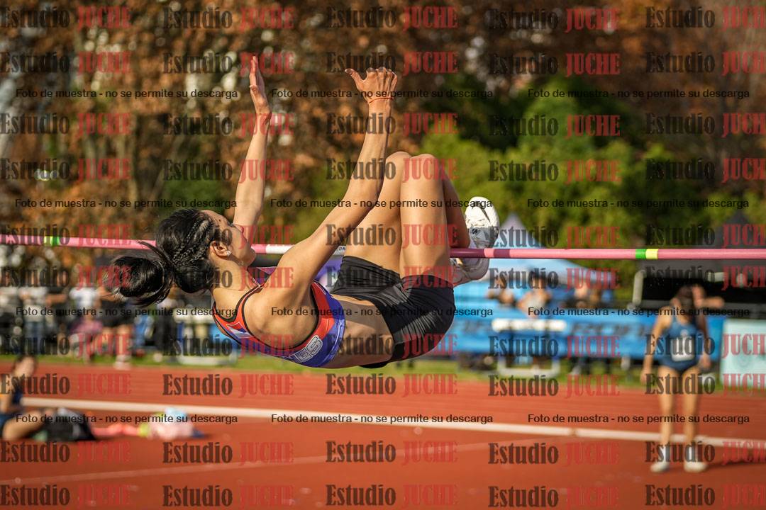 Fotos del salto en alto de mujeres
