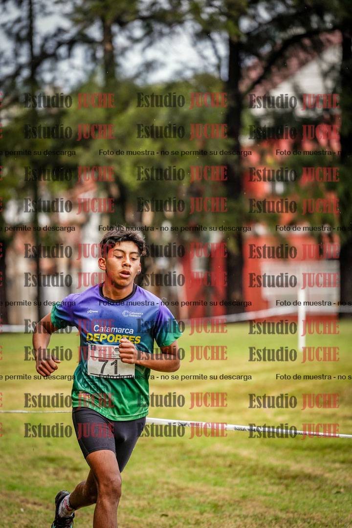 Fotos en el circuito