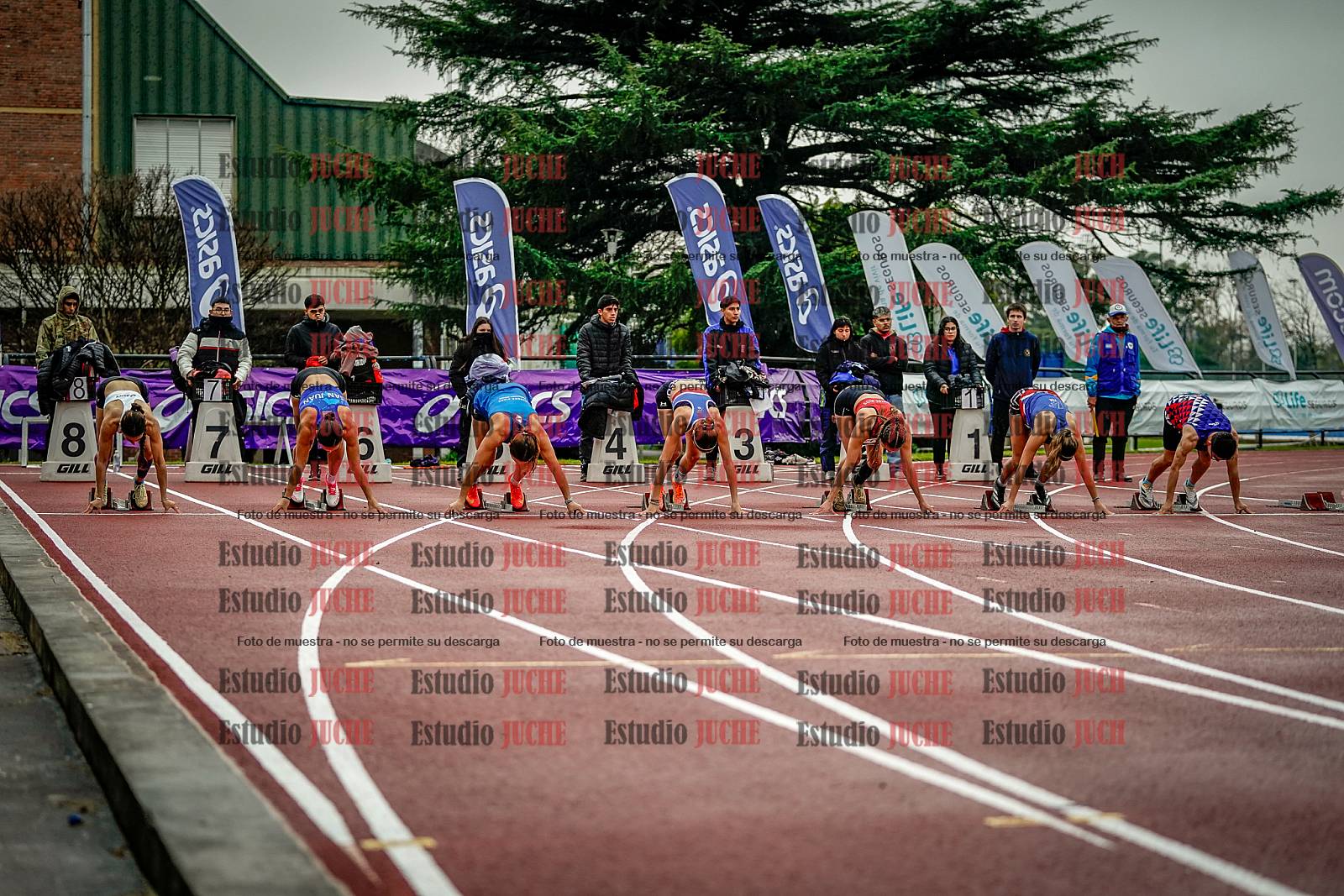 Fotos de los 100 m llanos de mujeres