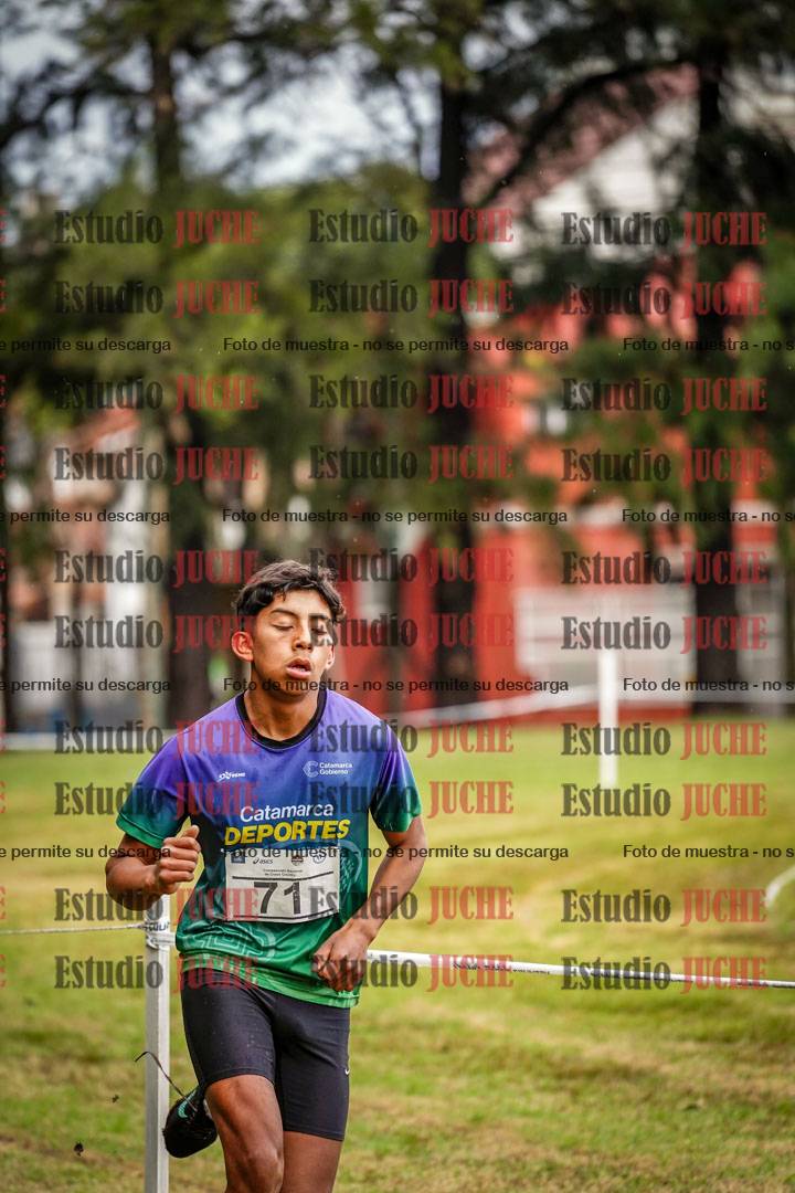 Fotos en el circuito