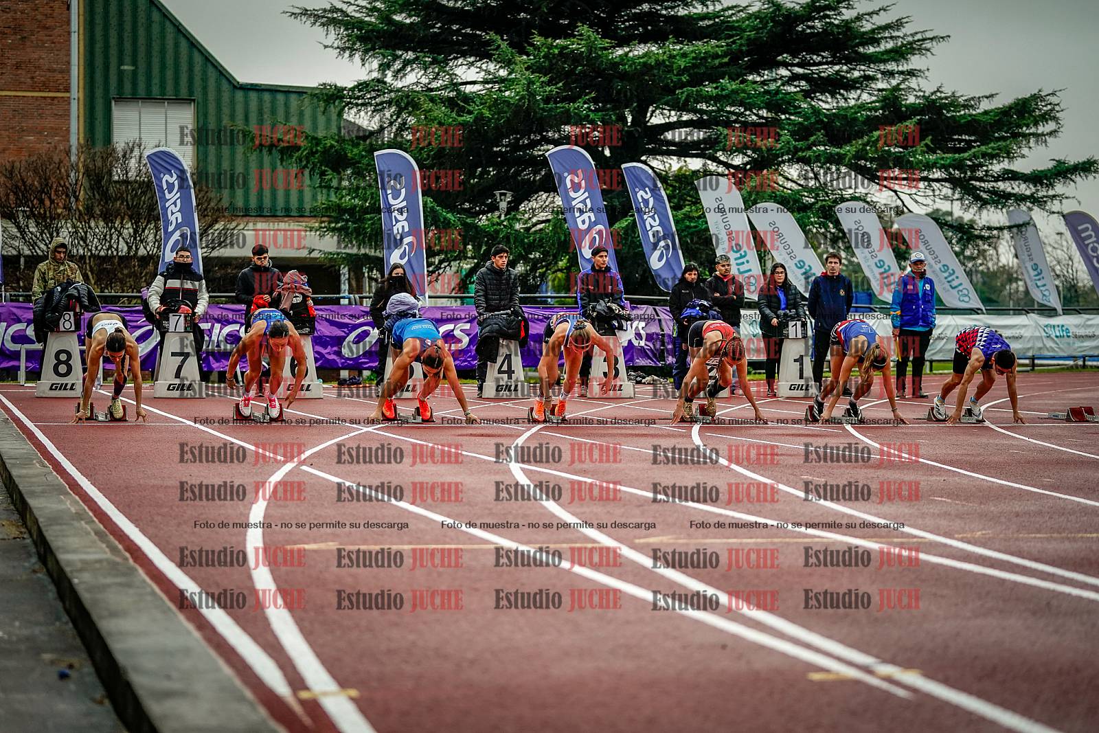 Fotos de los 100 m llanos de mujeres