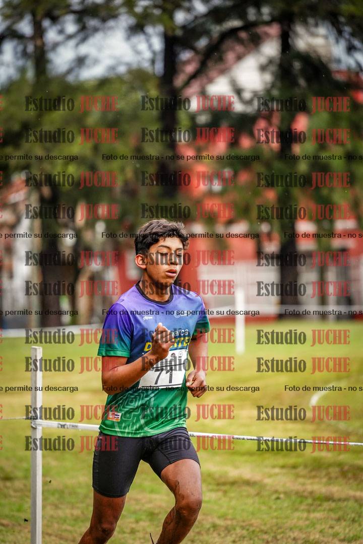 Fotos en el circuito