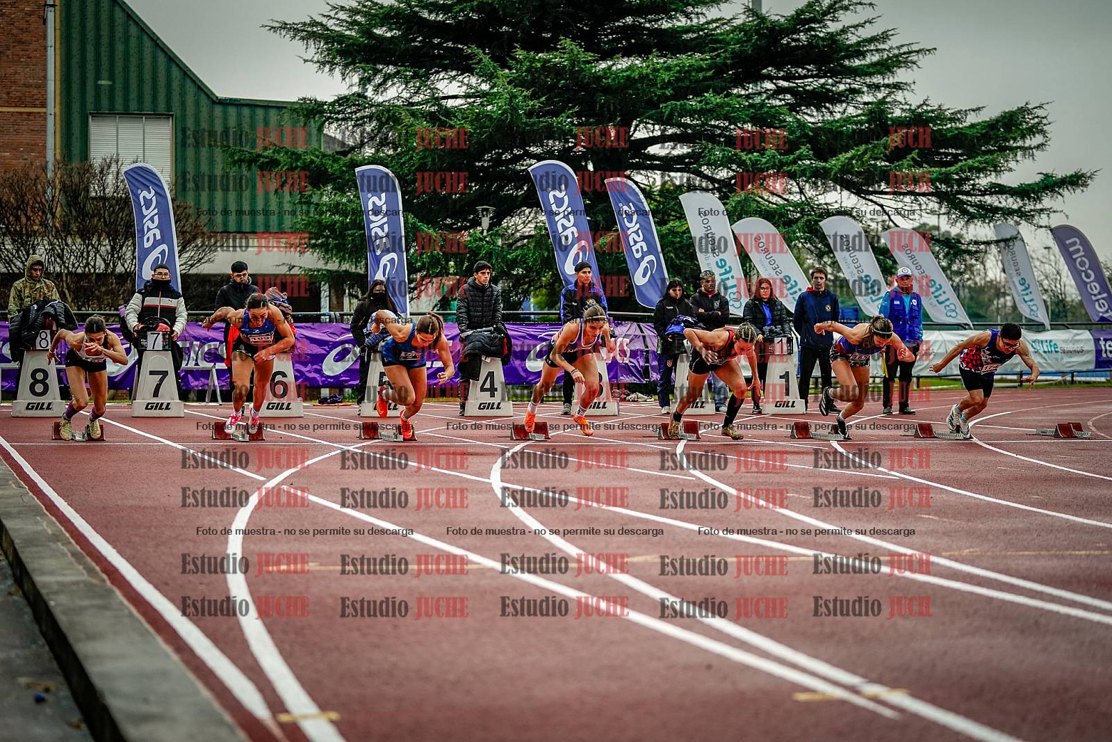 Fotos de los 100 m llanos de mujeres