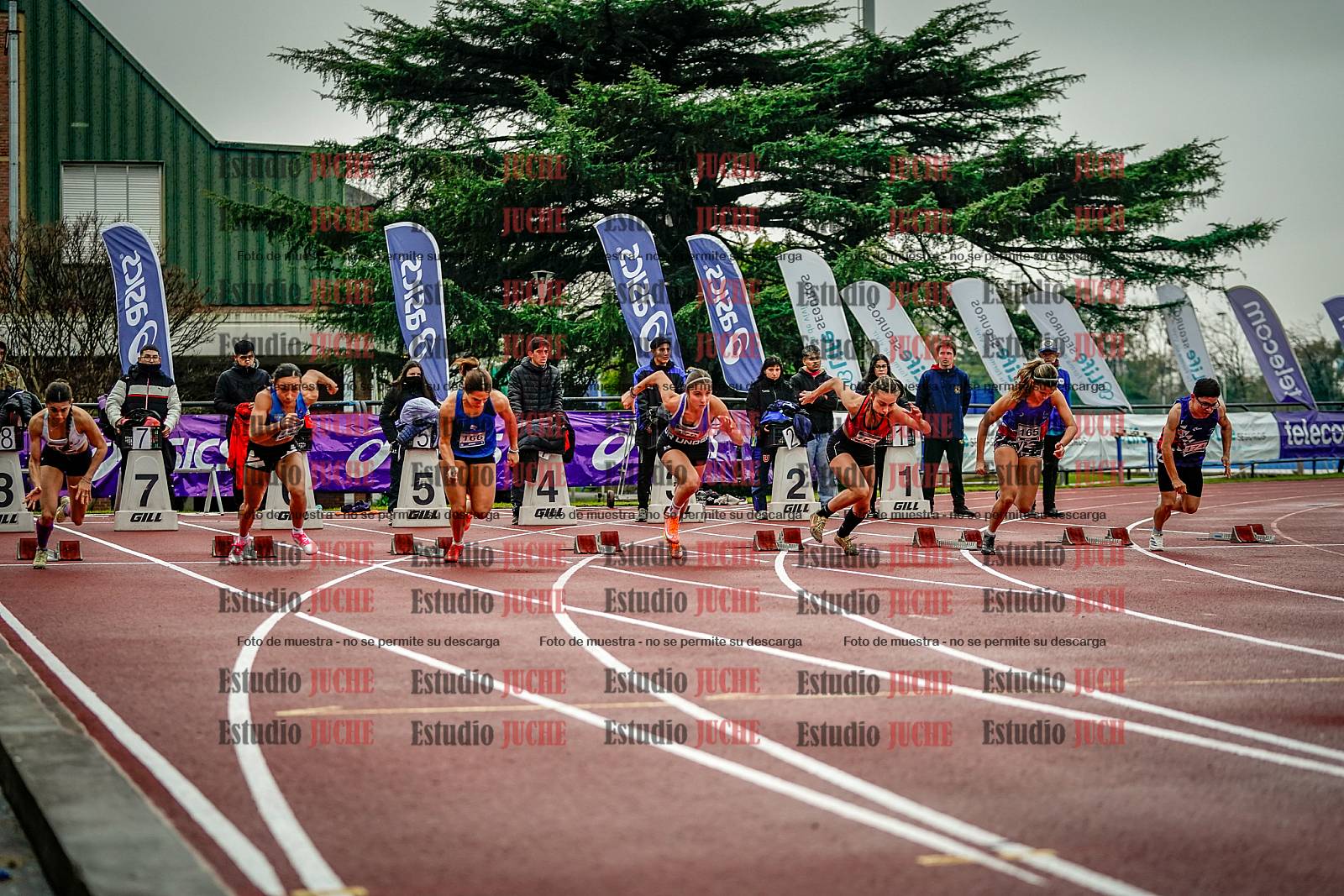 Fotos de los 100 m llanos de mujeres
