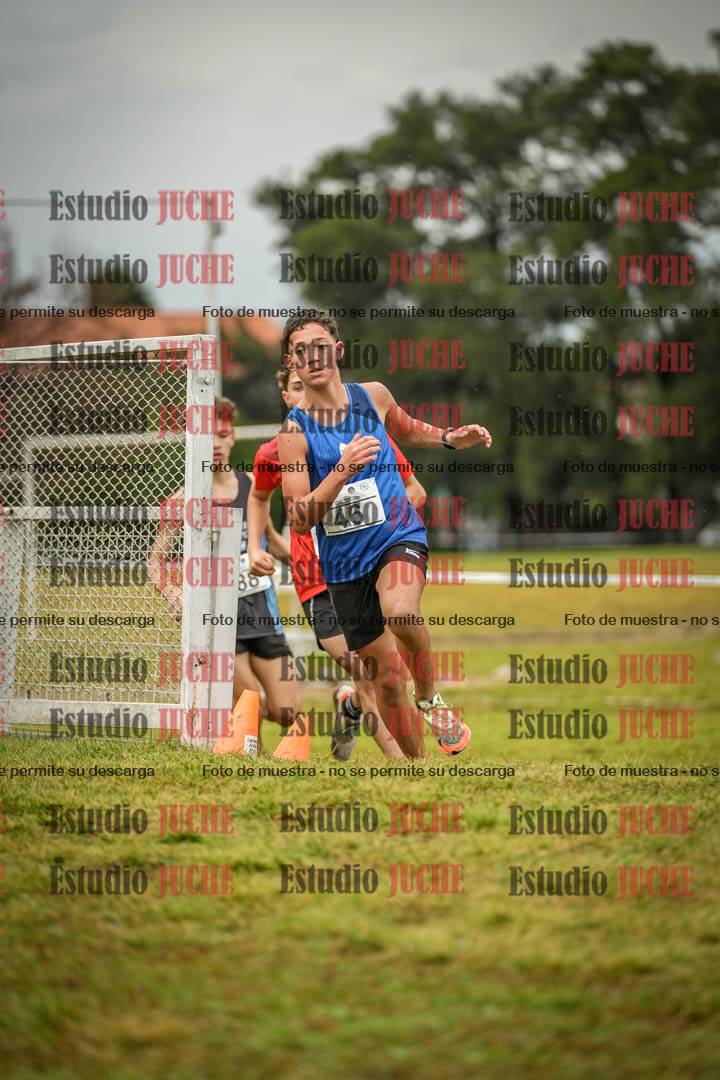 Fotos en el circuito