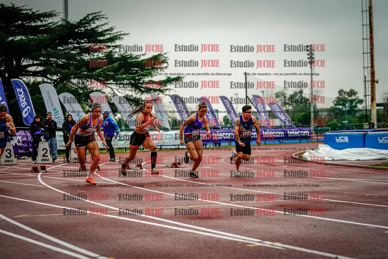 Fotos de los 100 m llanos de mujeres