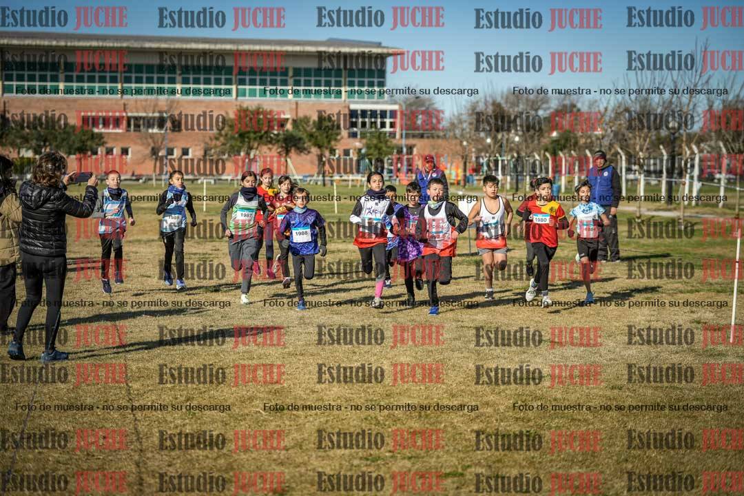 Fotos en de la largada