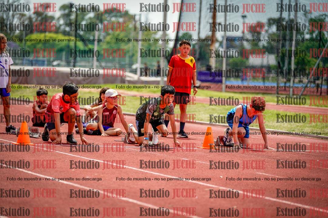 Fotos de los 60 m con vallas de varones