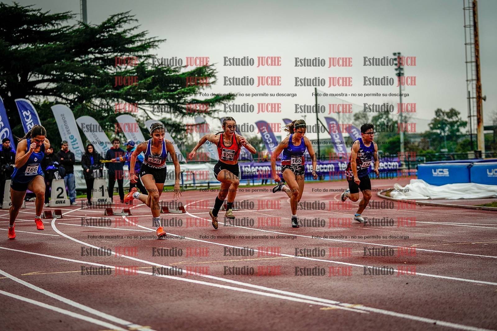 Fotos de los 100 m llanos de mujeres