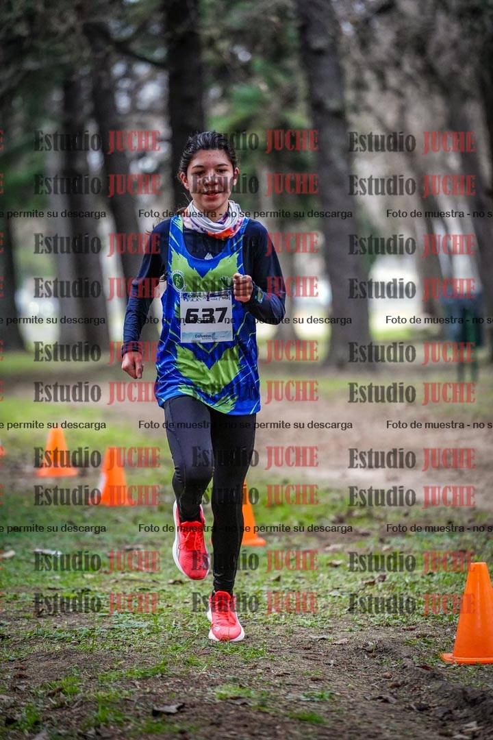 Fotos en el circuito