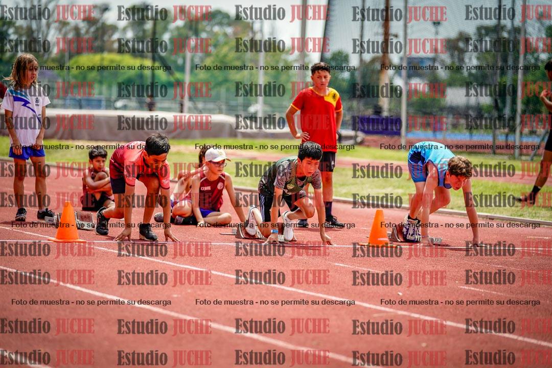 Fotos de los 60 m con vallas de varones