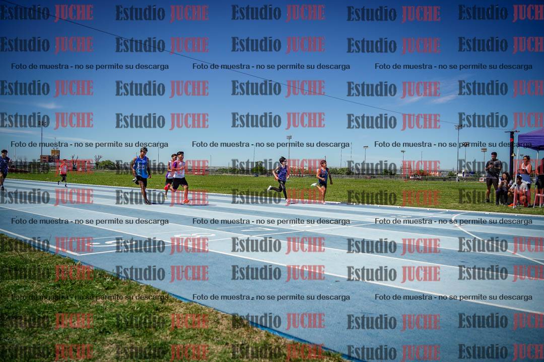 Fotos de los 80 m llanos de varones