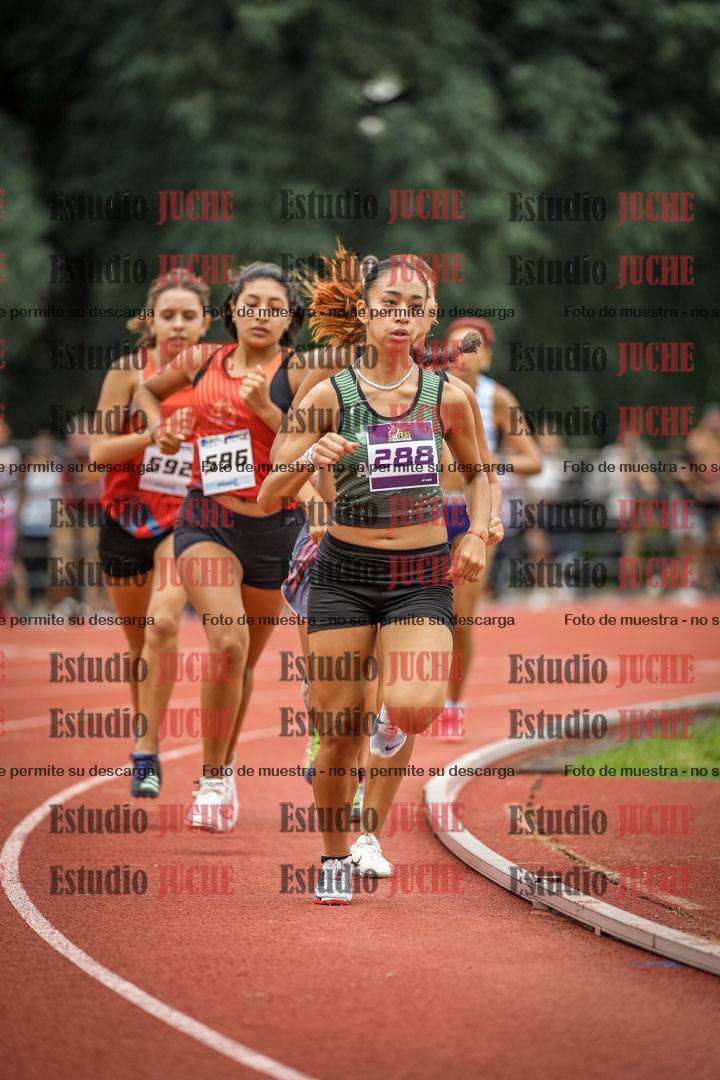 Fotos de los 800 m llanos de mujeres