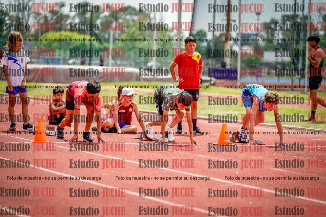 Fotos de los 60 m con vallas de varones