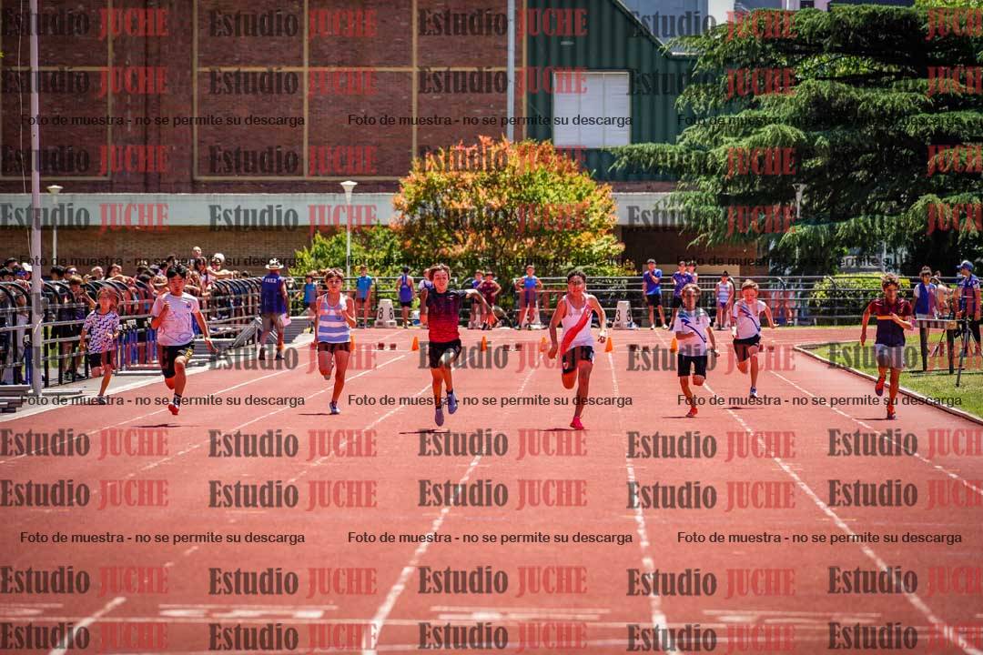 Fotos de los 80 m llanos de varones