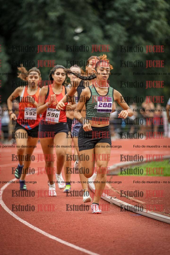 Fotos de los 800 m llanos de mujeres