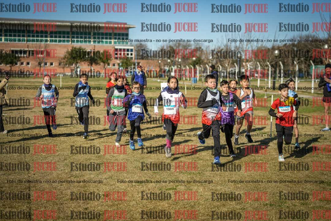 Fotos en de la largada