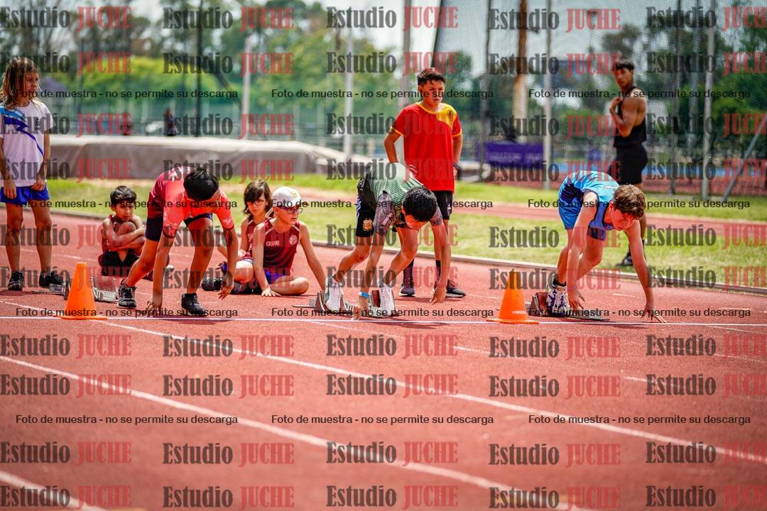 Fotos de los 60 m con vallas de varones