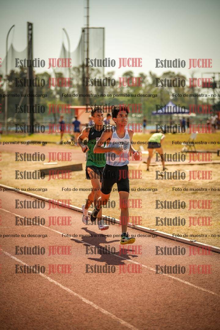 Fotos de los 3000 m llanos de varones
