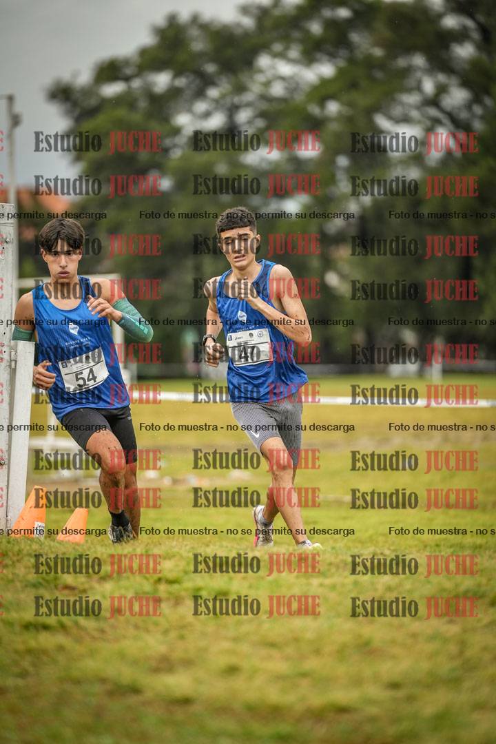 Fotos en el circuito