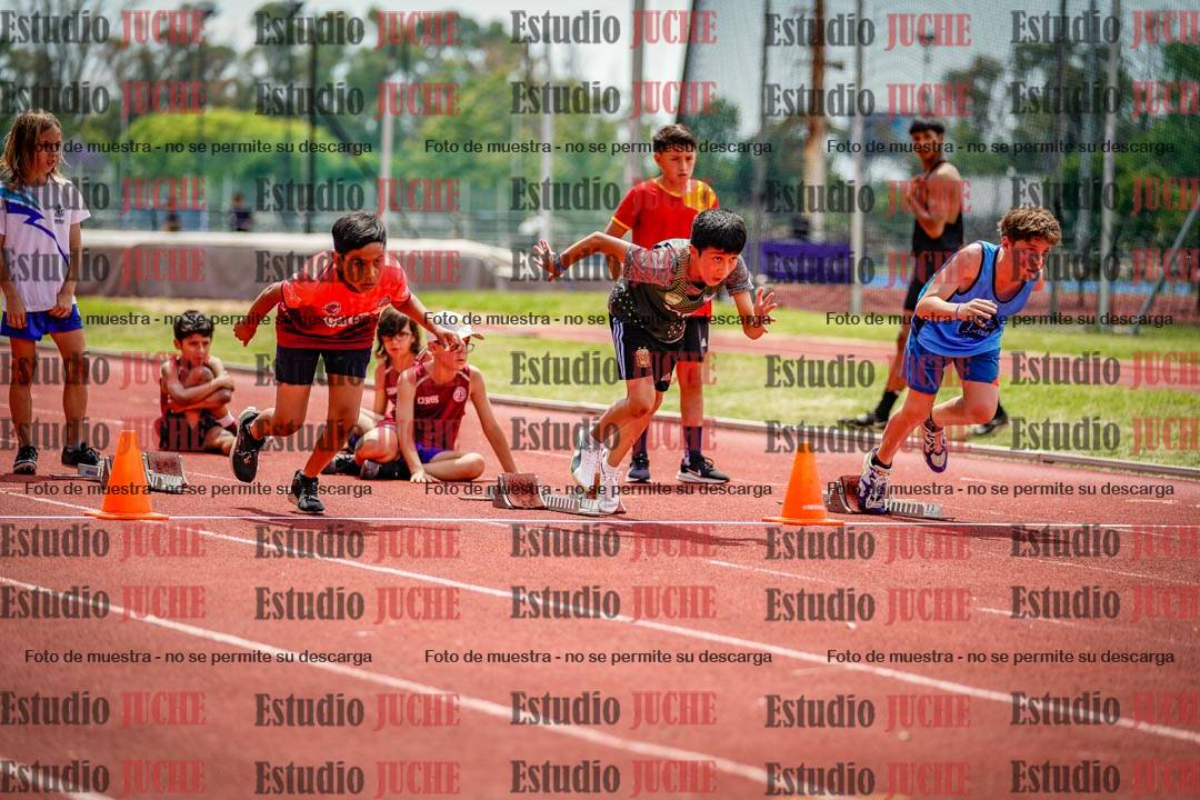 Fotos de los 60 m con vallas de varones