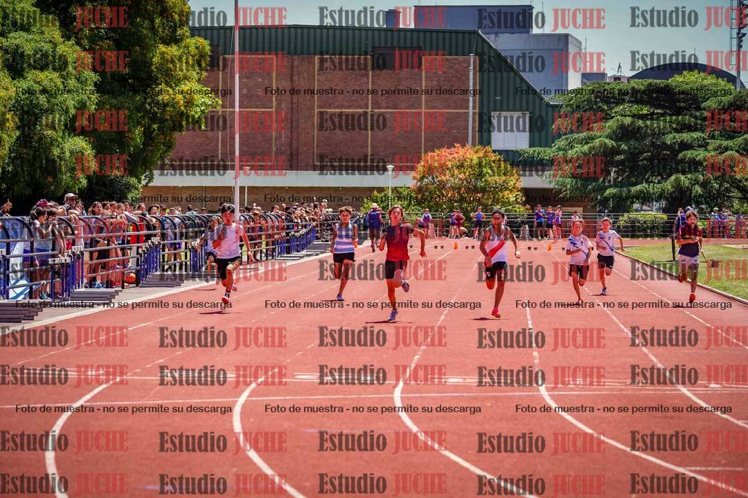 Fotos de los 80 m llanos de varones