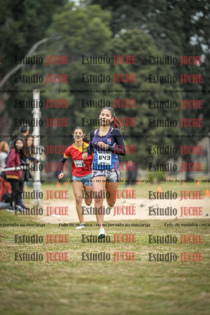 Fotos de la llegada