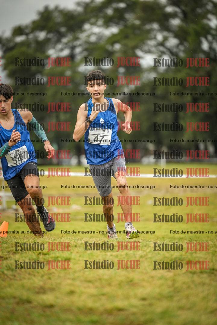 Fotos en el circuito