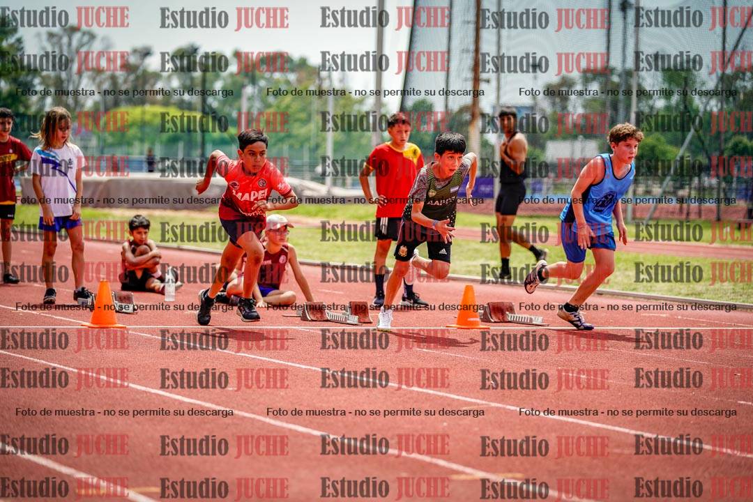 Fotos de los 60 m con vallas de varones