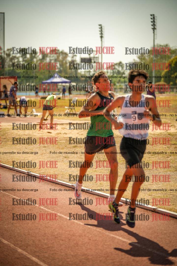 Fotos de los 3000 m llanos de varones