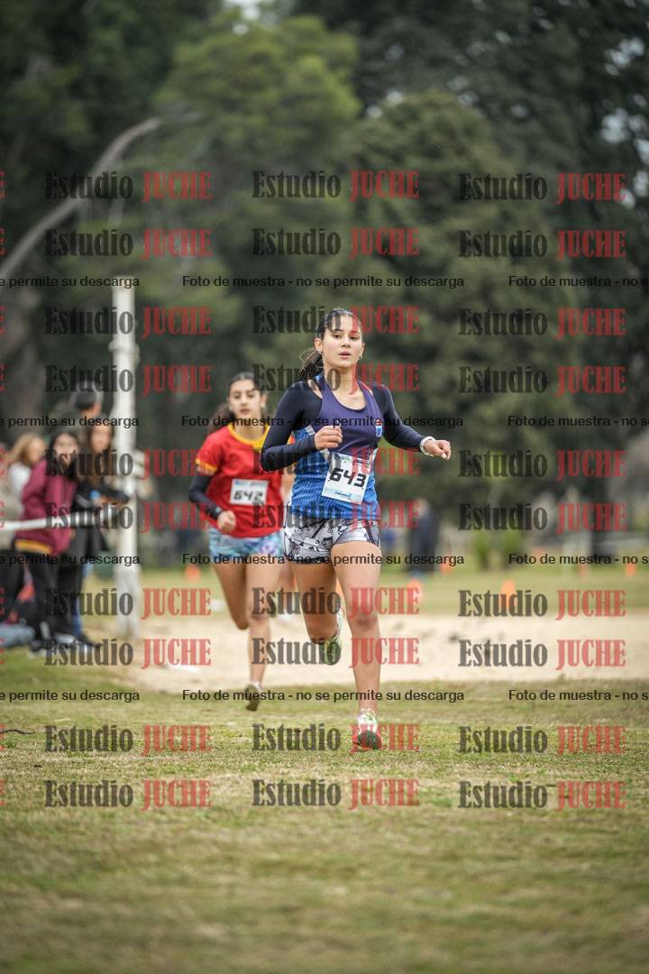 Fotos de la llegada