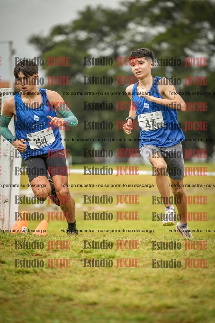 Fotos en el circuito