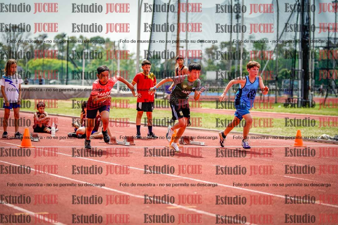 Fotos de los 60 m con vallas de varones