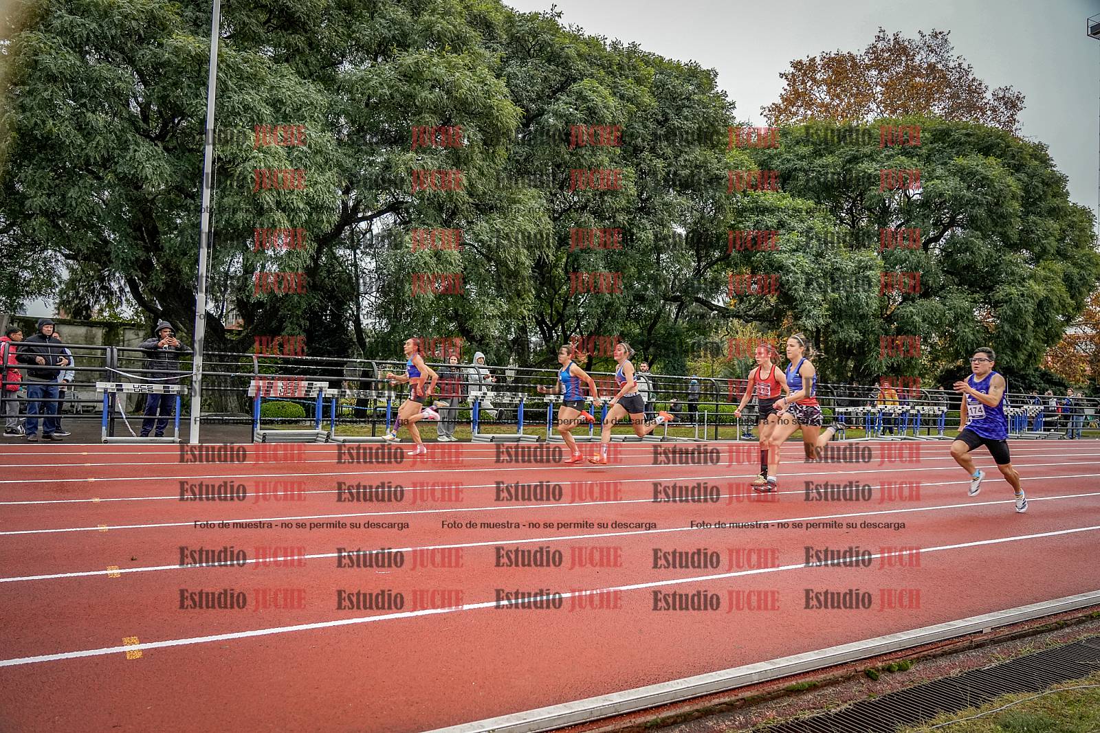 Fotos de los 100 m llanos de mujeres