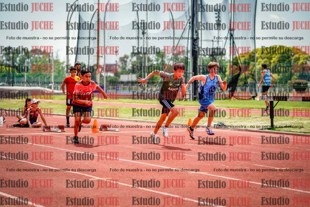 Fotos de los 60 m con vallas de varones