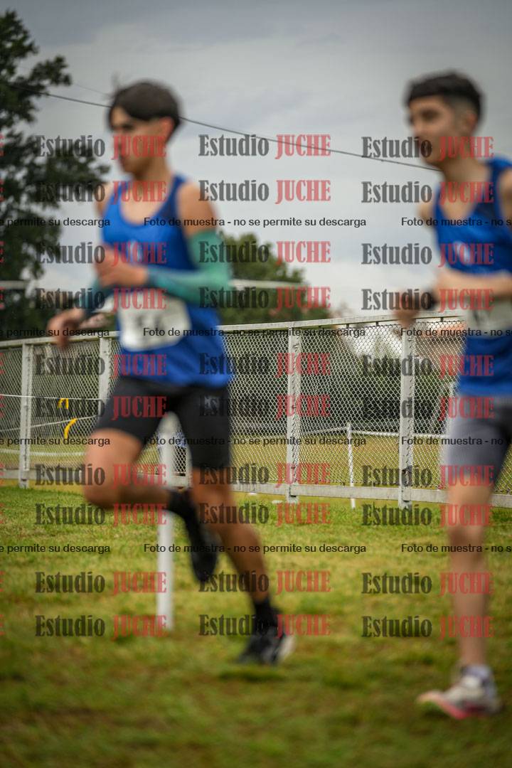 Fotos en el circuito