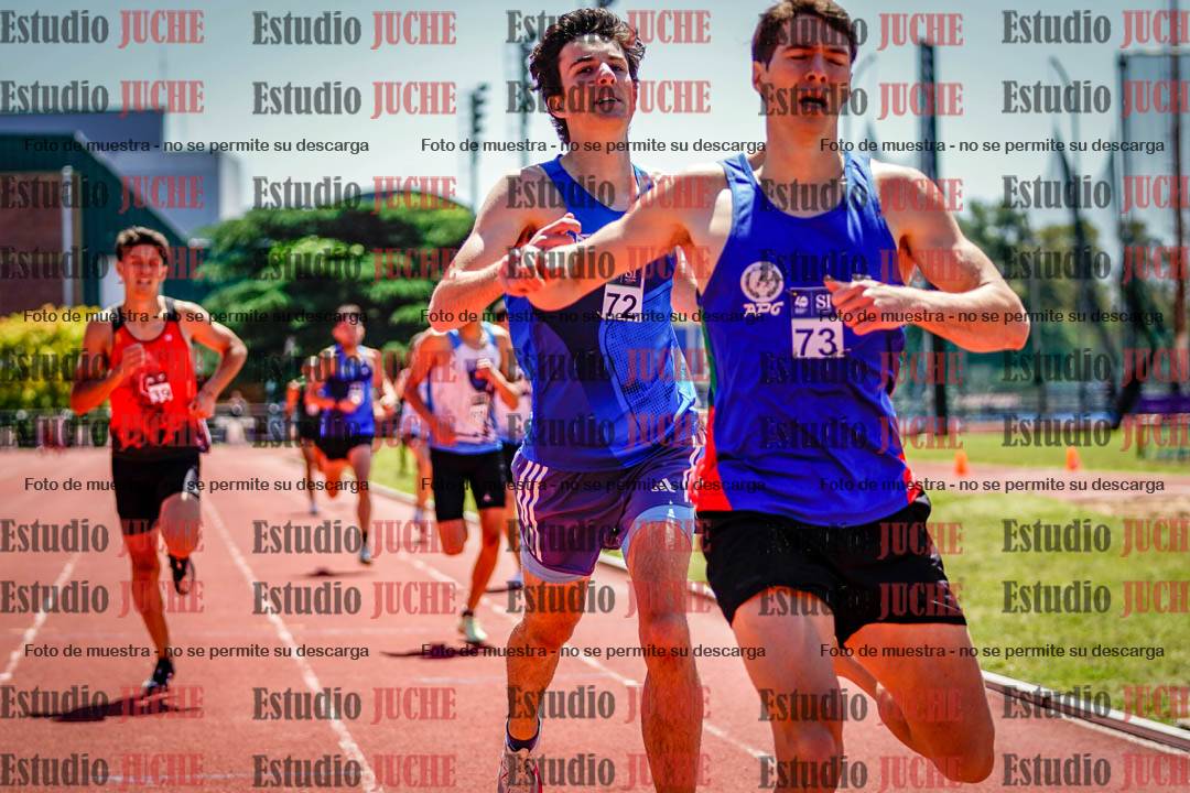 Fotos de los 800 m llanos de varones