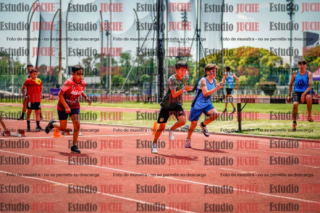 Fotos de los 60 m con vallas de varones