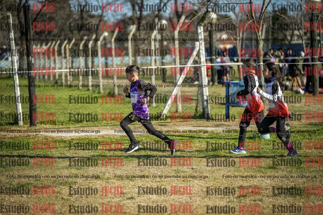 Fotos en el circuito