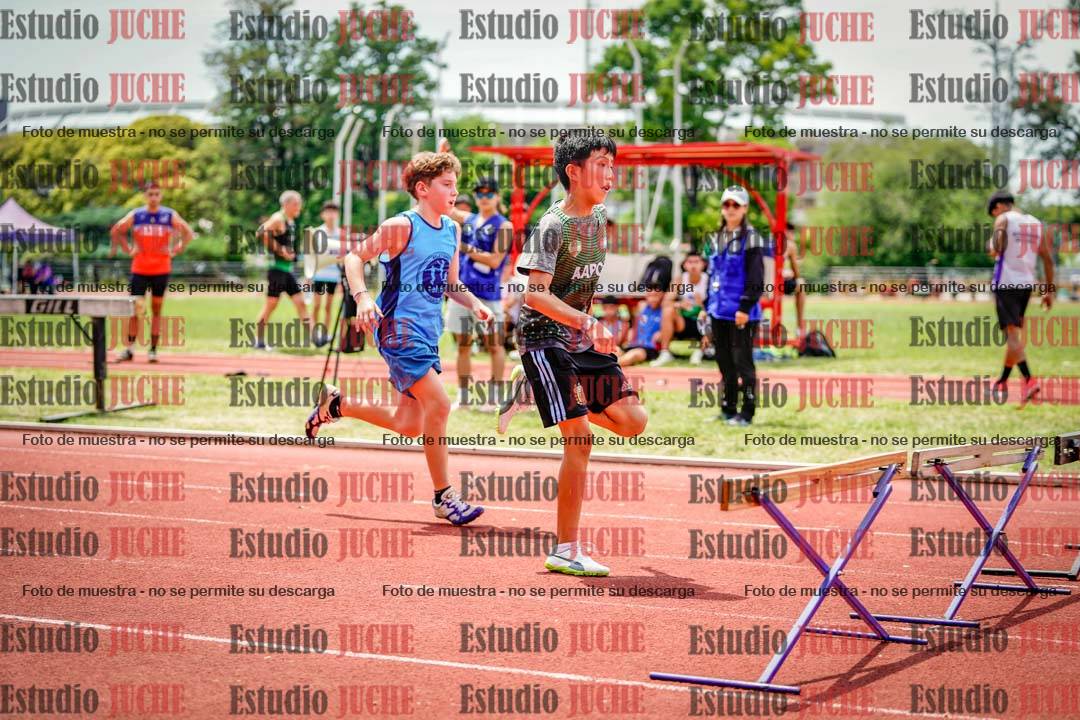 Fotos de los 60 m con vallas de varones