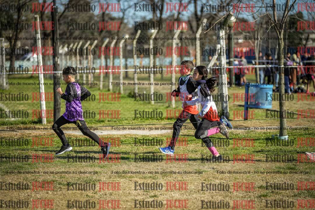 Fotos en el circuito