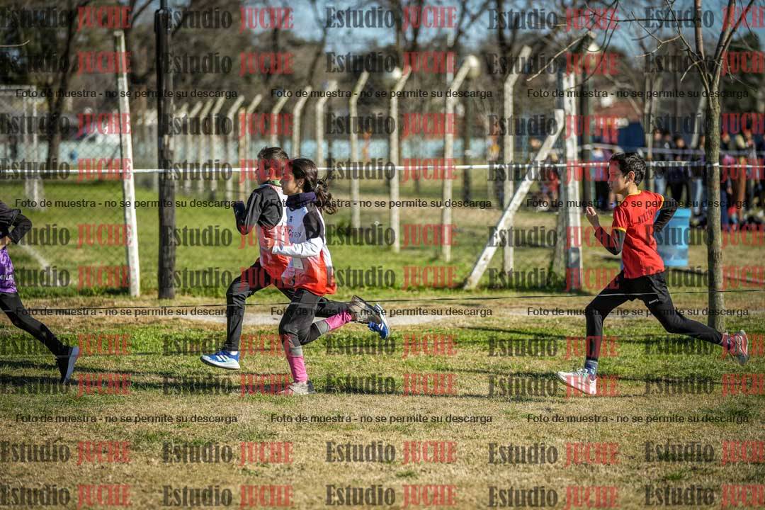 Fotos en el circuito