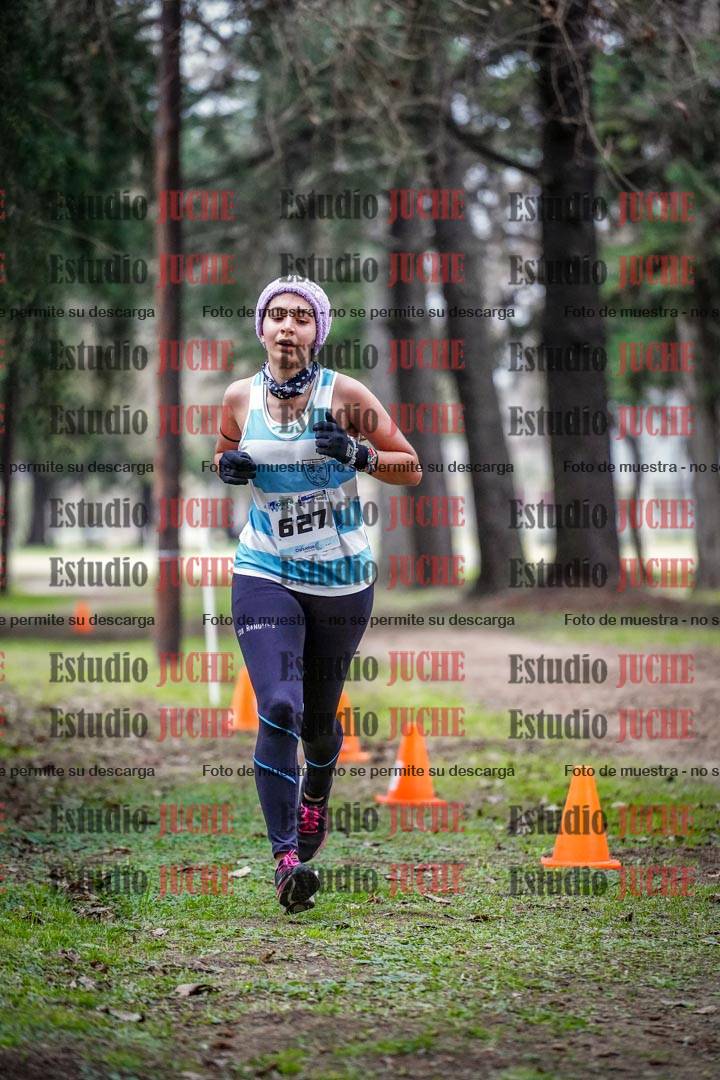 Fotos en el circuito