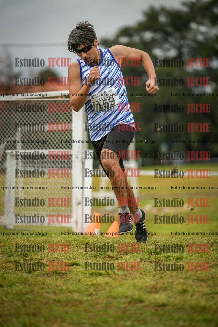 Fotos en el circuito
