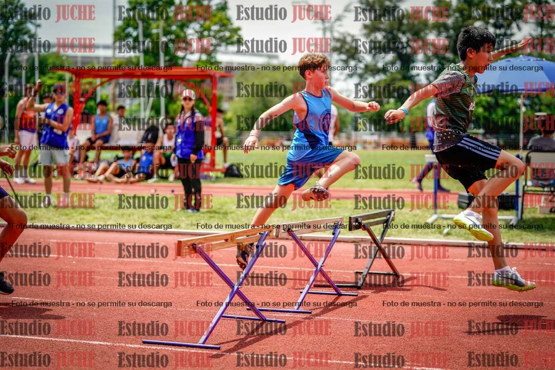 Fotos de los 60 m con vallas de varones