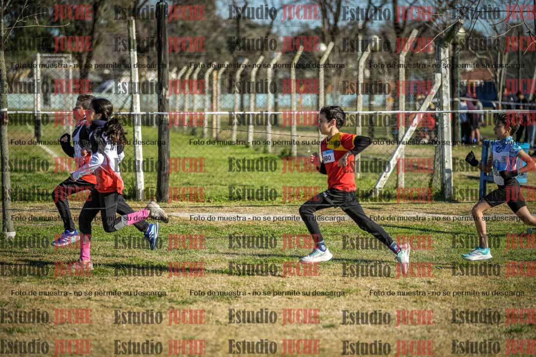Fotos en el circuito